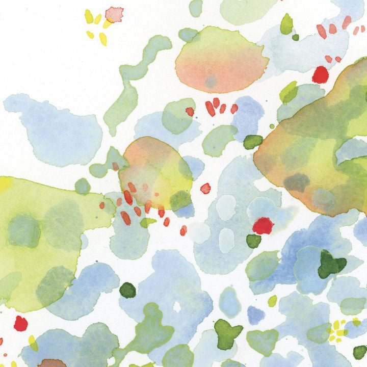 Affiche 8 x 10 - Lichen