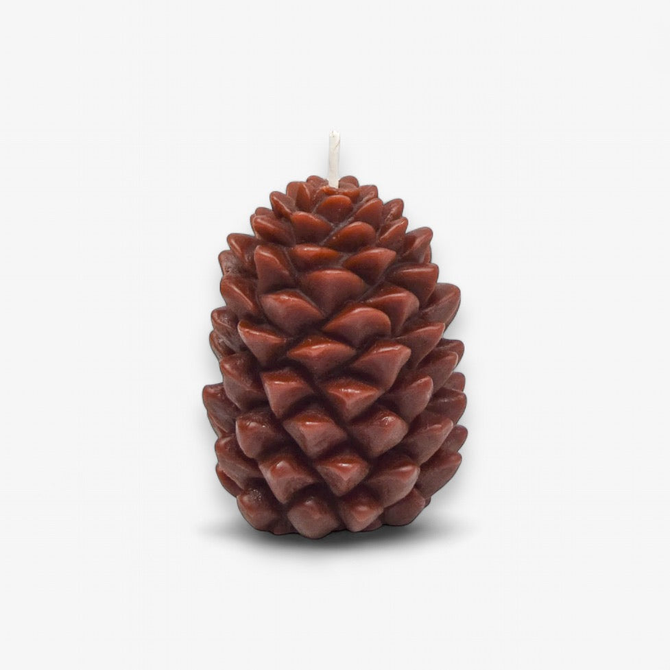 Pinecone Candle - Beeswax - Brown