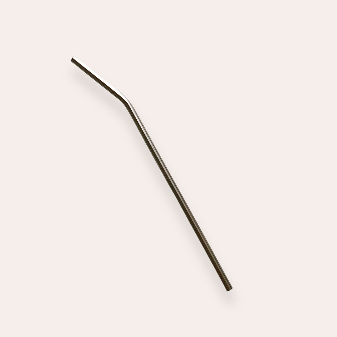 Paille en acier inoxydable à smoothie 9.5″ - Argent