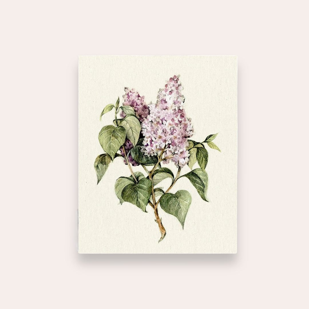 Carte de souhaits - Lilas