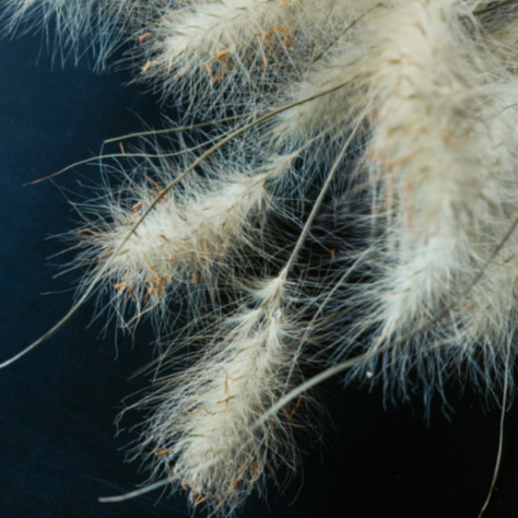 Feather Top - Dried Flower Bouquet