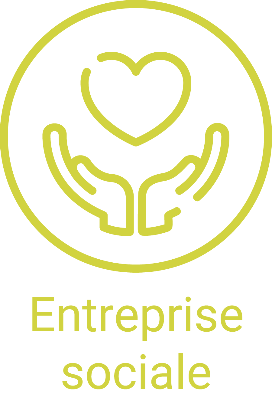 Entreprise sociale Entreprise sociale