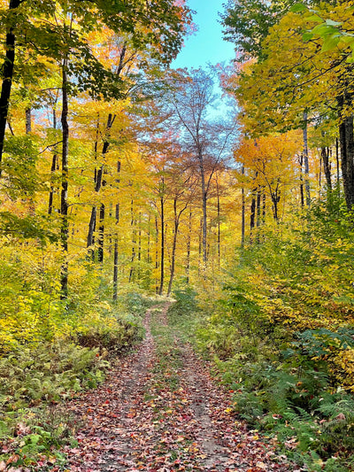 Our 3 favorite fall hikes