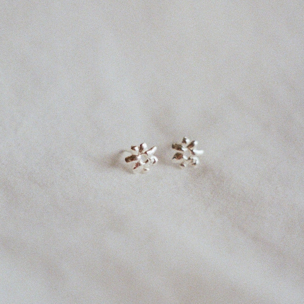 Boucles d'oreilles - Corail - Argent