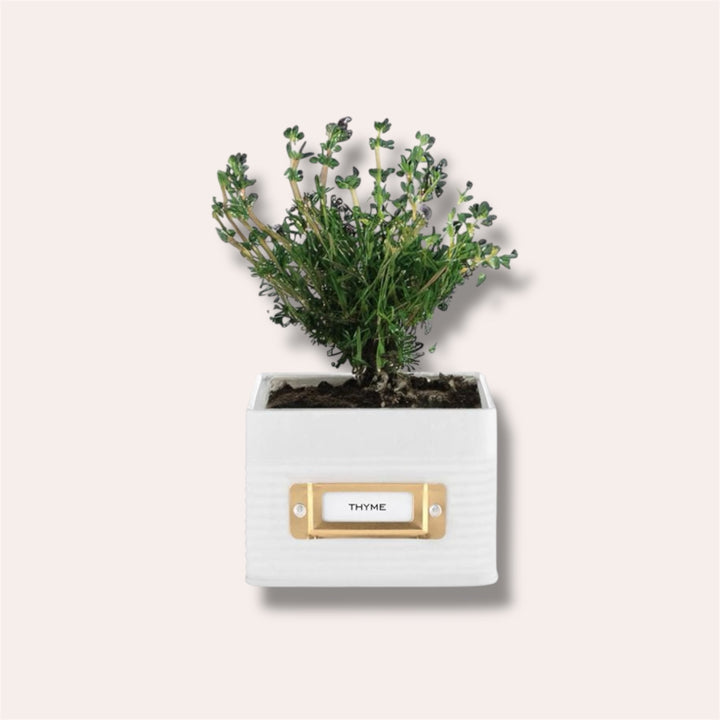 Jardinière à herbes carrée - Blanc