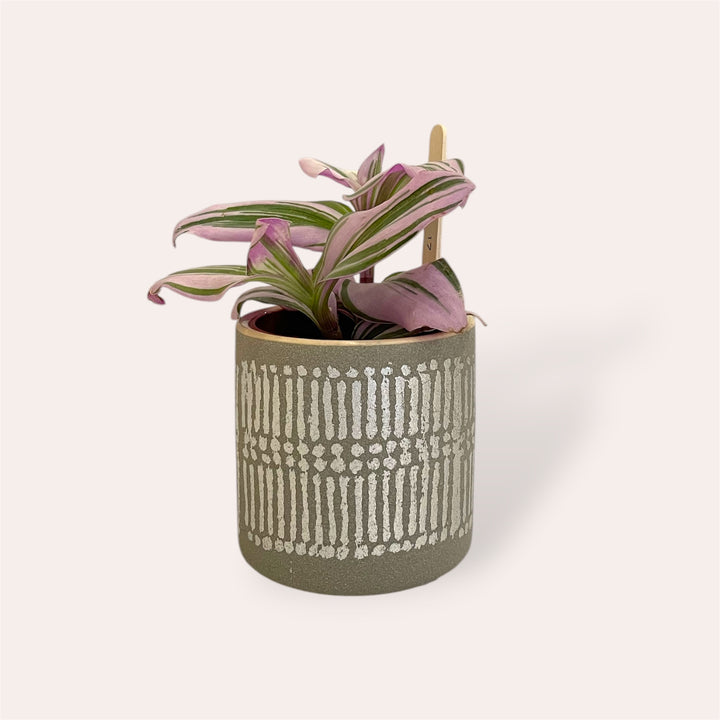 Plant pot - Metallic silver - 2.5 in