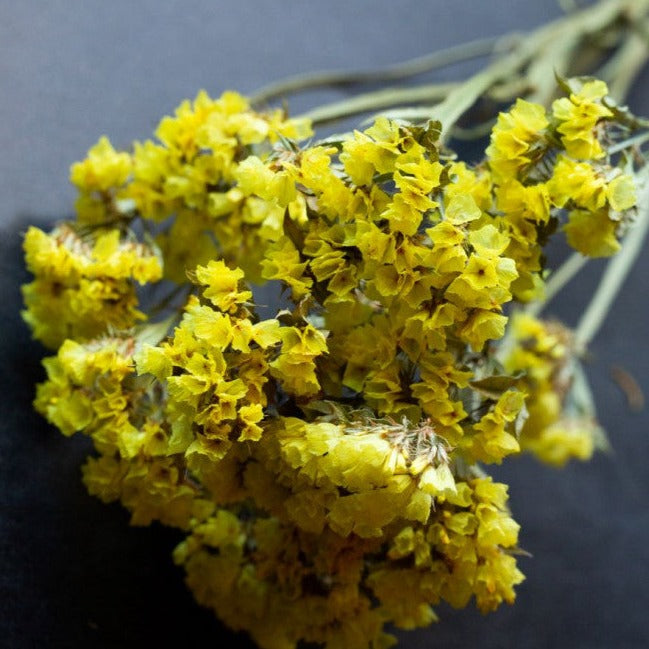 Statice - Bouquet de fleurs séchées - jaune