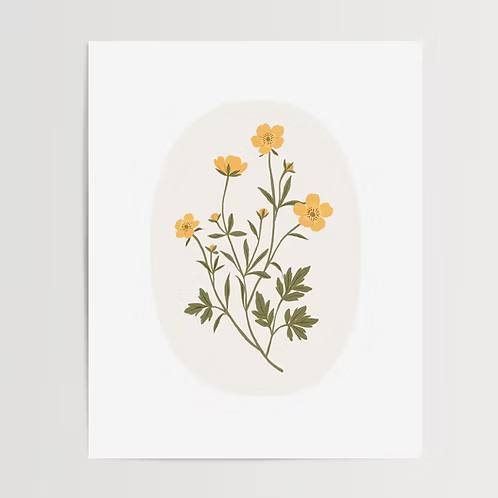 Poster - Prickly Buttercup