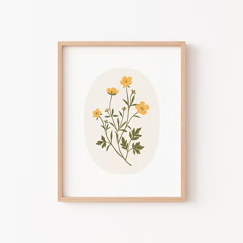 Poster - Prickly Buttercup