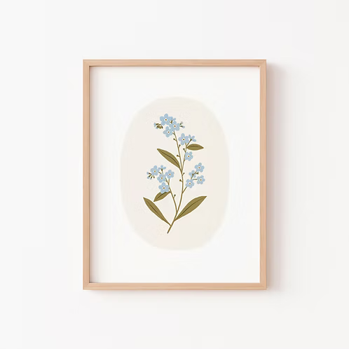 Poster - Forest Forget-me-not