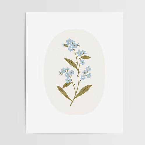 Poster - Forest Forget-me-not
