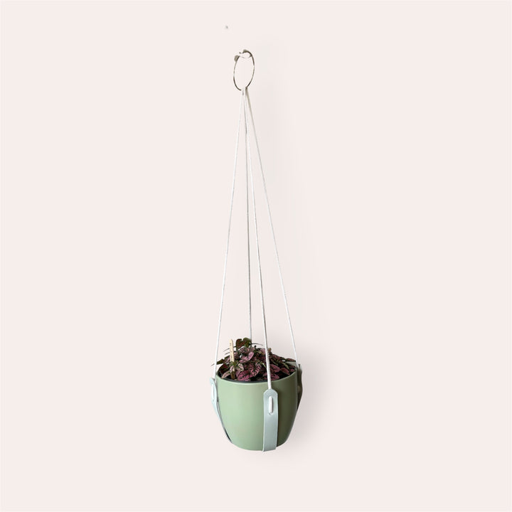 Jardinière ajustable - Bleu pâle