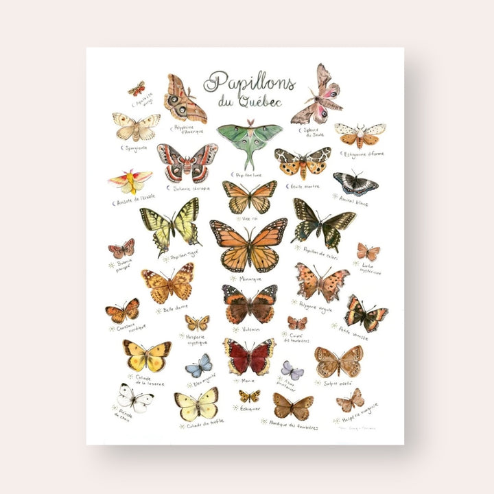 Affiche - Papillons du Québec