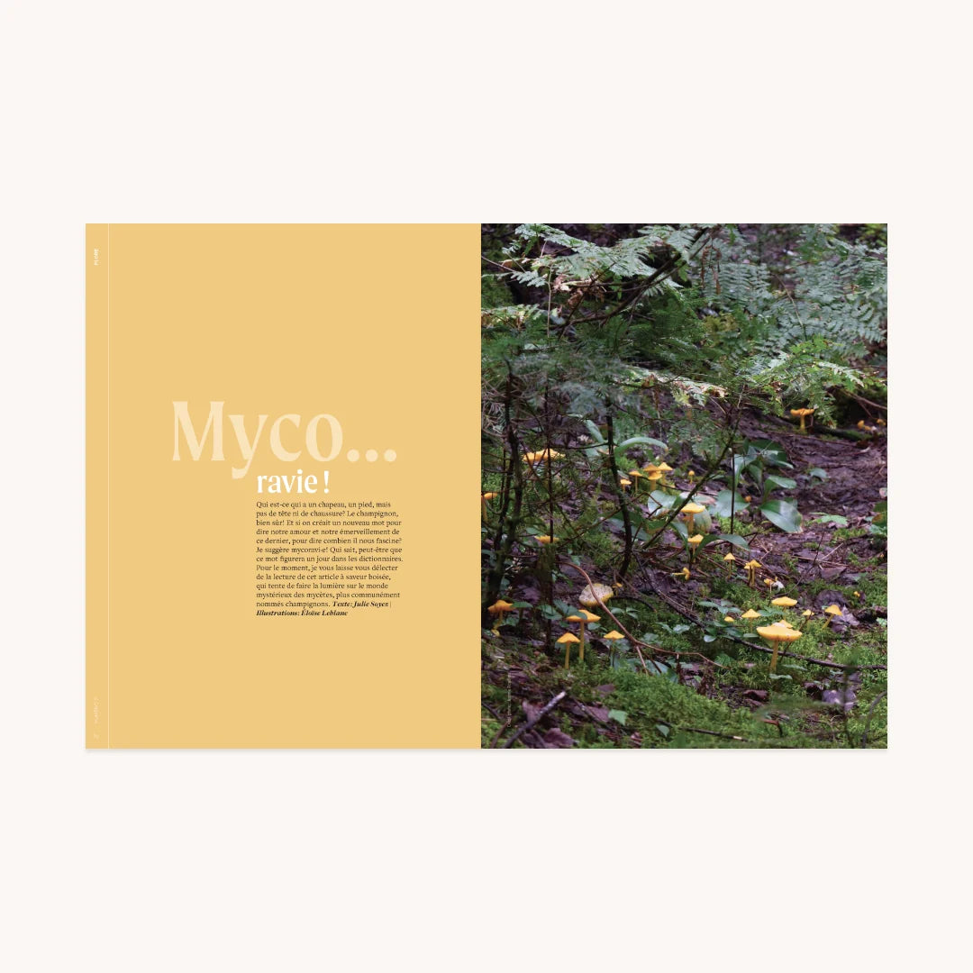 Rando Québec - Aimer - Numéro 2