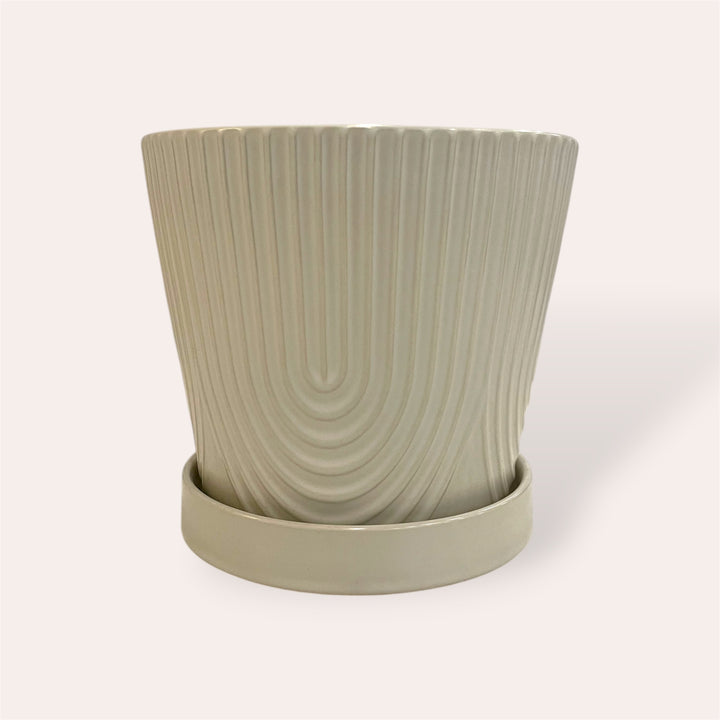 Plant pot - White ceramic with saucer - 6 in