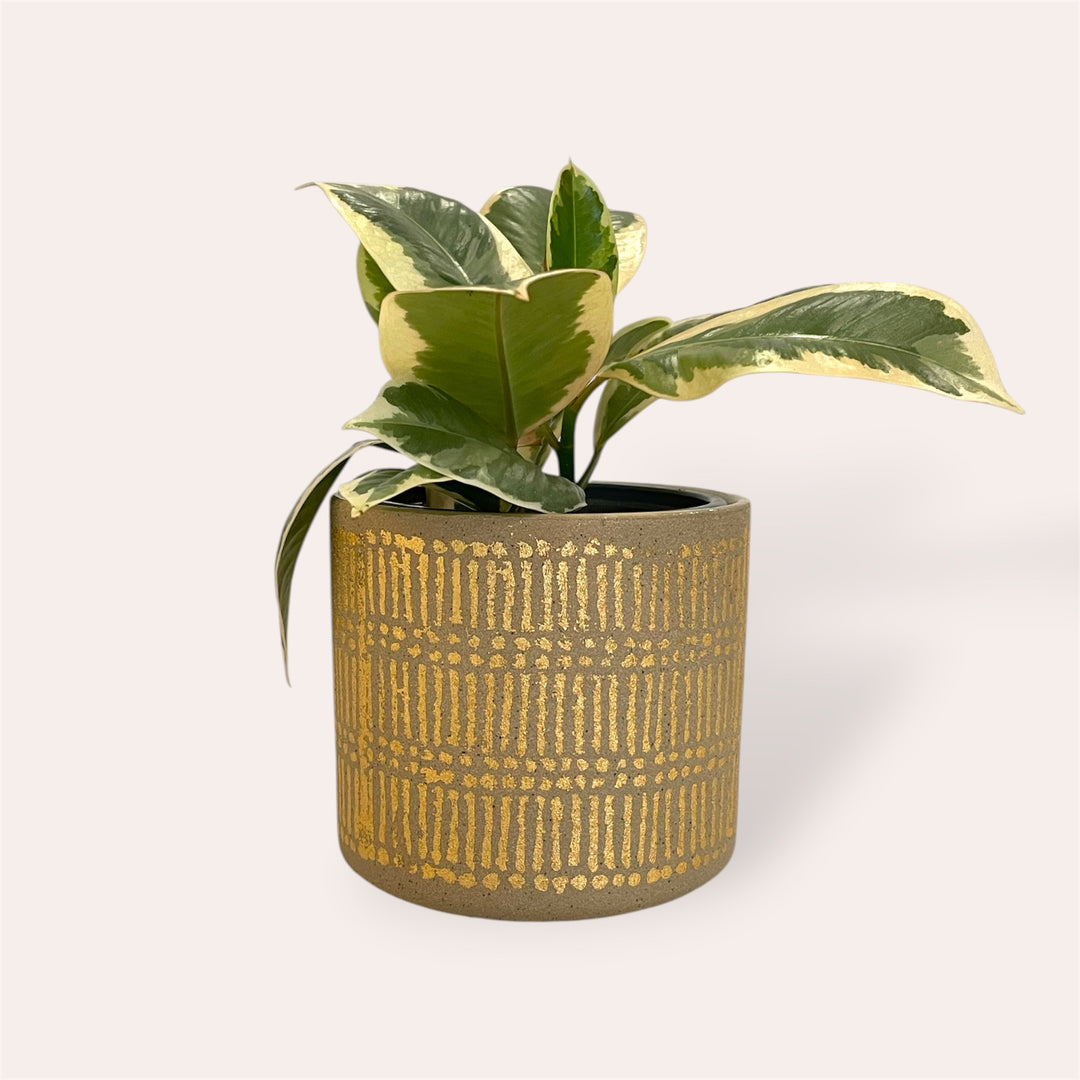 Plant pot - Metallic gold - 4 in