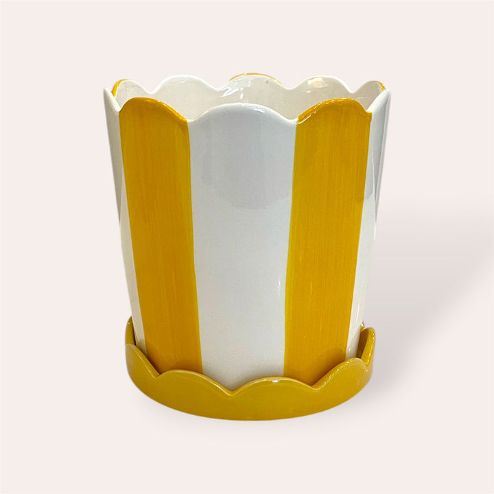 Plant pot - Yellow stripe with saucer - 6 in