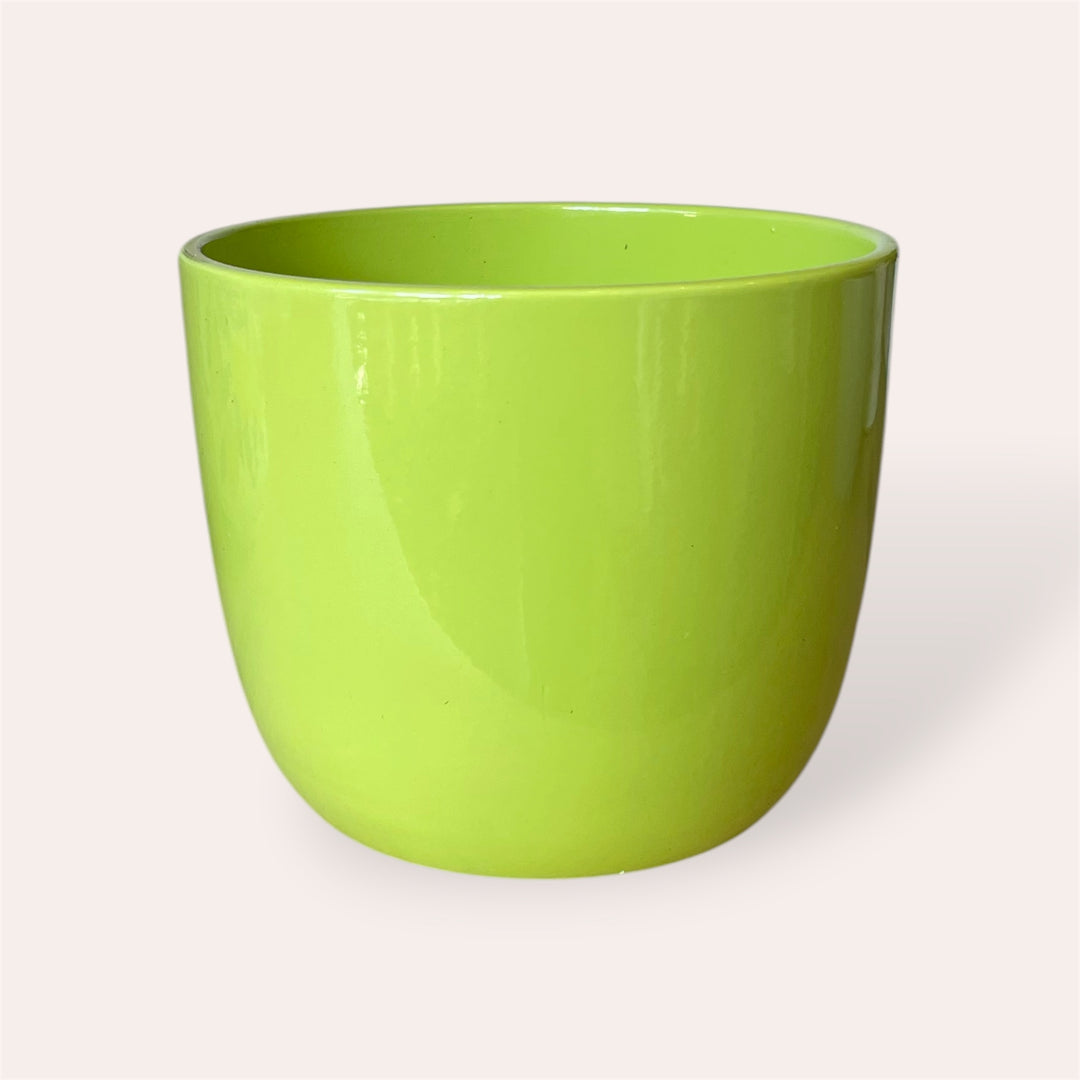 Cache-pot - Sevilla - Lime lustré - 12 cm