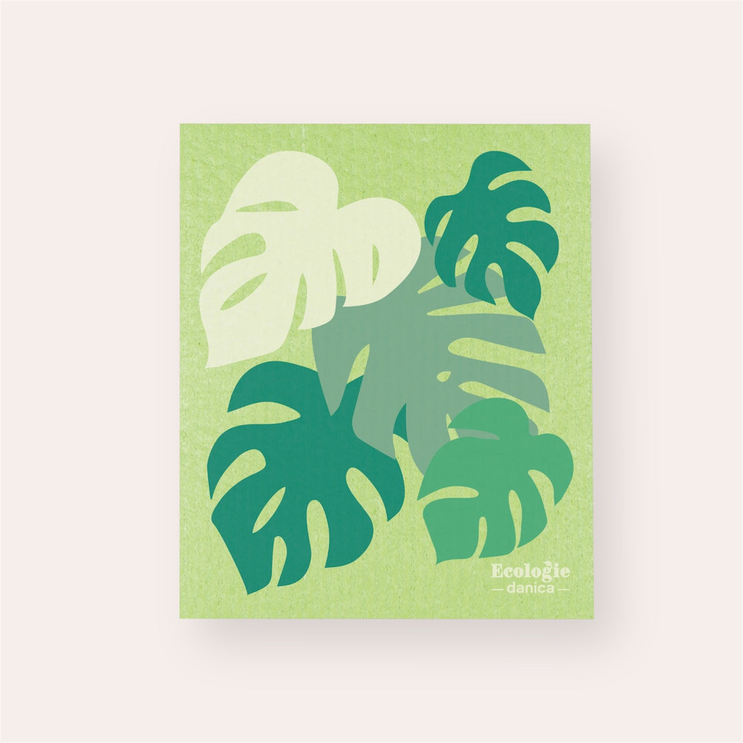 Essuie-tout réutilisable - Monstera