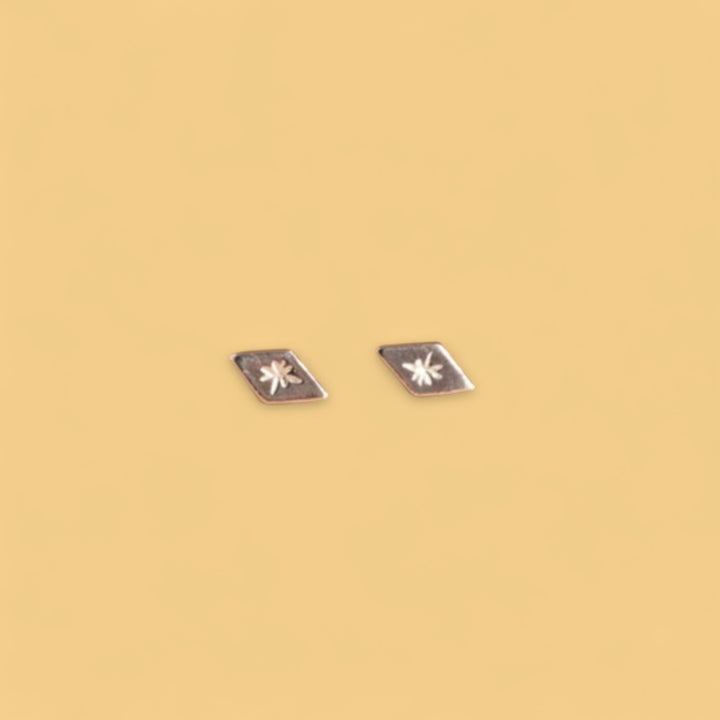 Earrings - Sparkle - Silver 