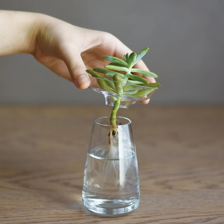 Vase aqua culture - Bleu - Petit