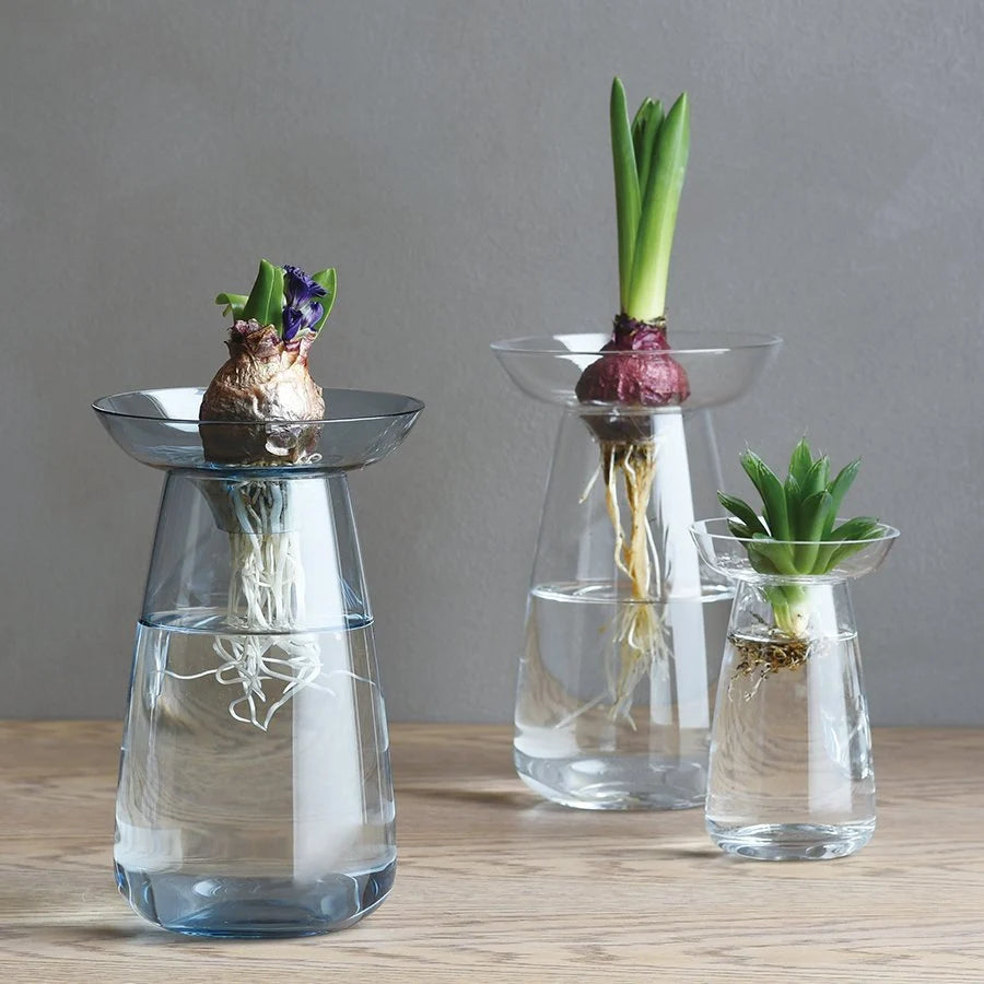 Vase aqua culture - Bleu - Petit