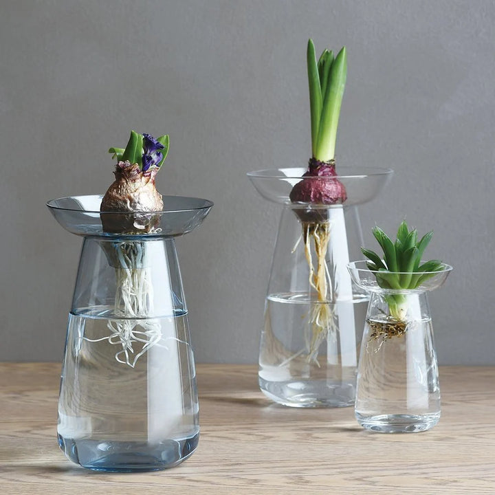 Vase aqua culture - Bleu - Petit