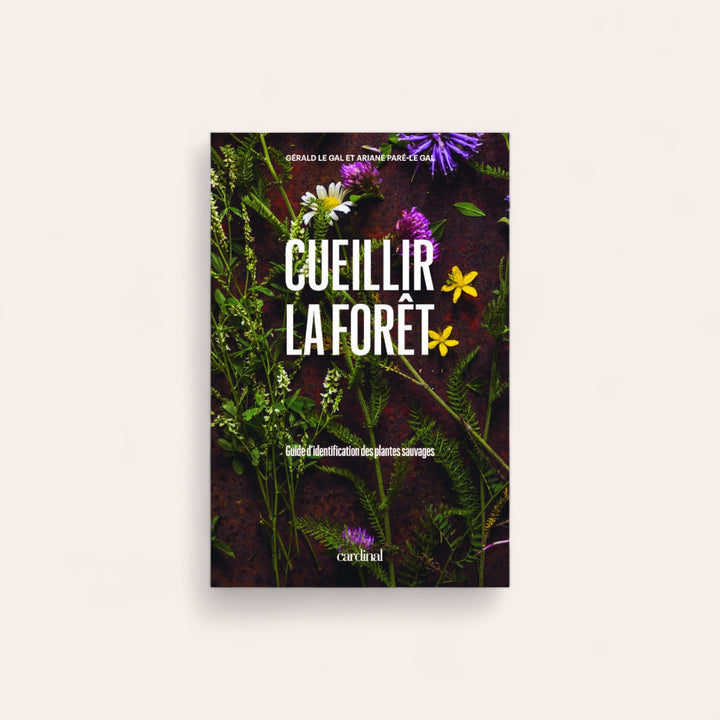 Cueillir la forêt : Guide d'identification des plantes sauvages