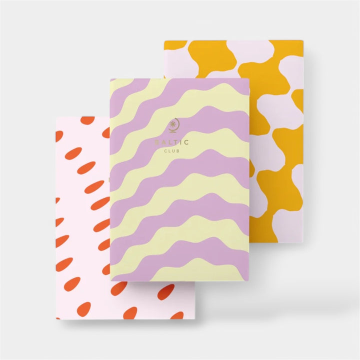 Trio of pocket notebooks - North