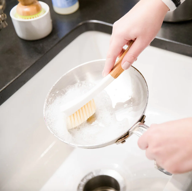 Brosses de remplacement