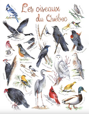 Affiche - Oiseaux du Québec