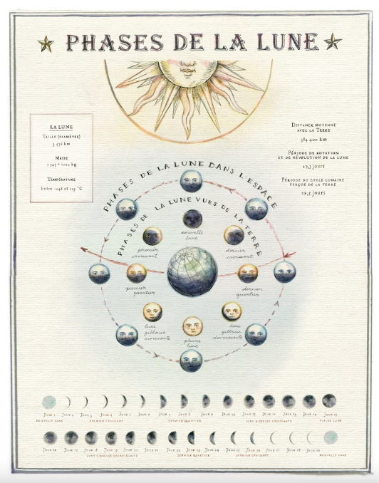 Poster - Phases of the moon
