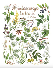 Poster - Wild dye plants of Quebec