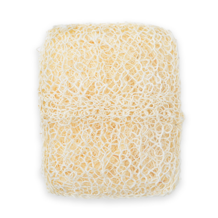 Agave body sponge