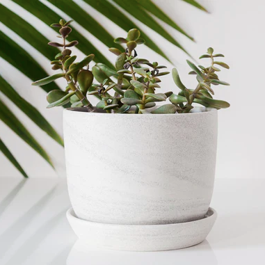 Ceramic planter - Speckled