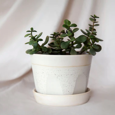 Ceramic planter - Facets