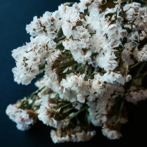 Statice - Bouquet de fleurs séchées