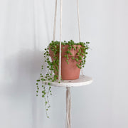 Flying Jesmonite Planter