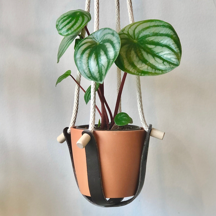 Recycled leather planter - Brown