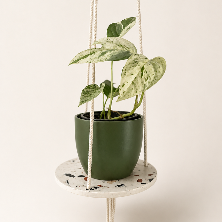 Flying Jesmonite Planter
