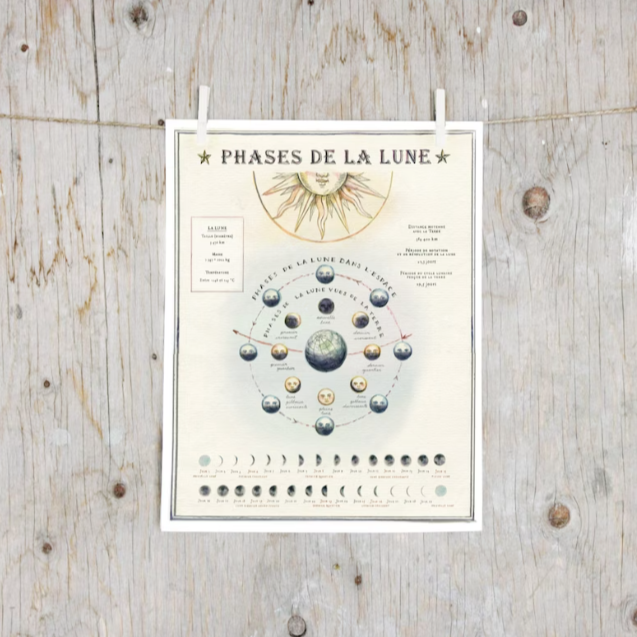 Affiche - Phases de la lune