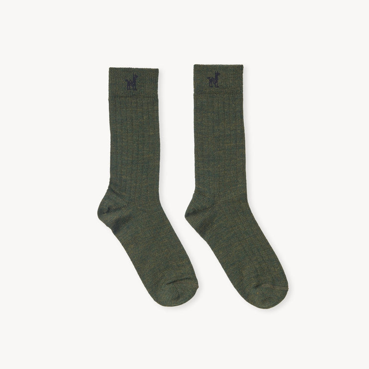 Everyday Socks - Spruce
