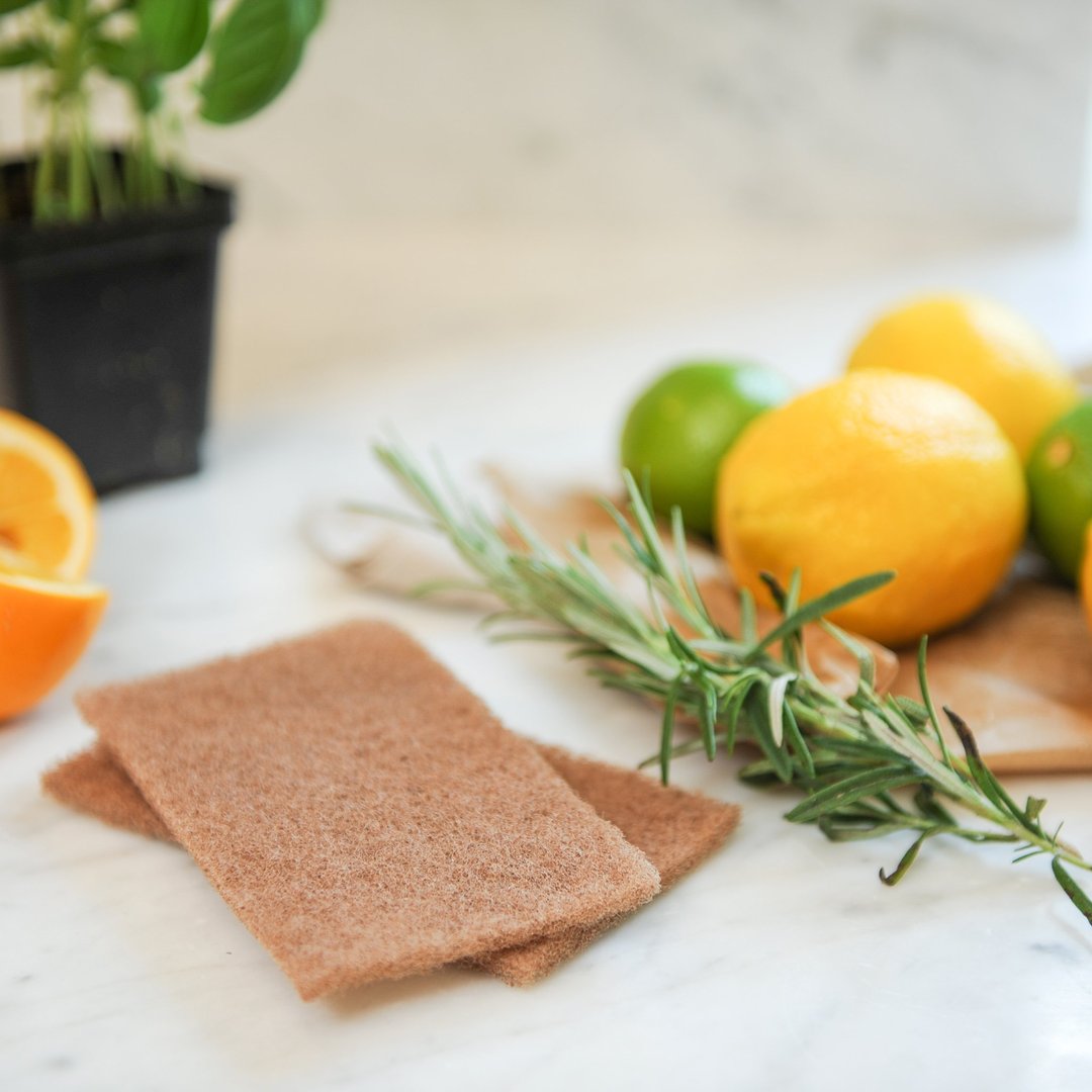 Scouring pads - Nuts (3)