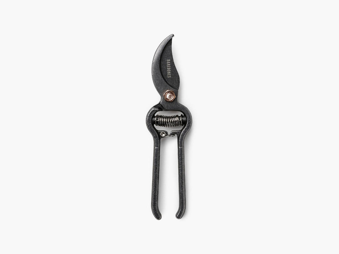 Sécateur pour jardin avec étui