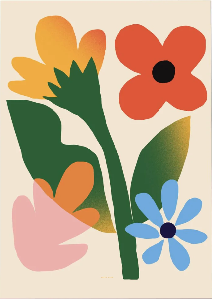 Poster - Fields of flowers