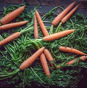 Seeds - Nantes carrot (+/- 800)