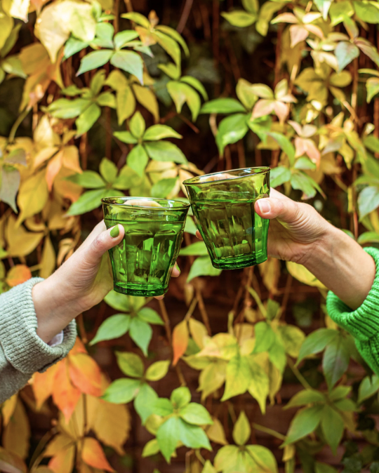 Verre Picardie - Vert Jungle