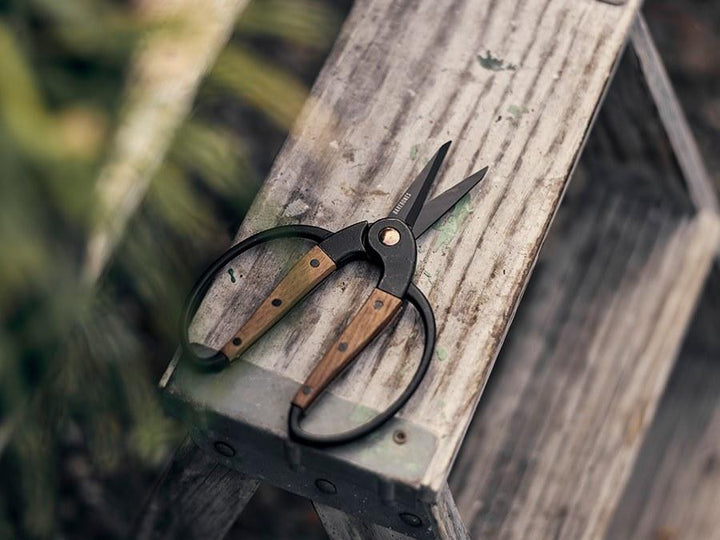Garden scissors