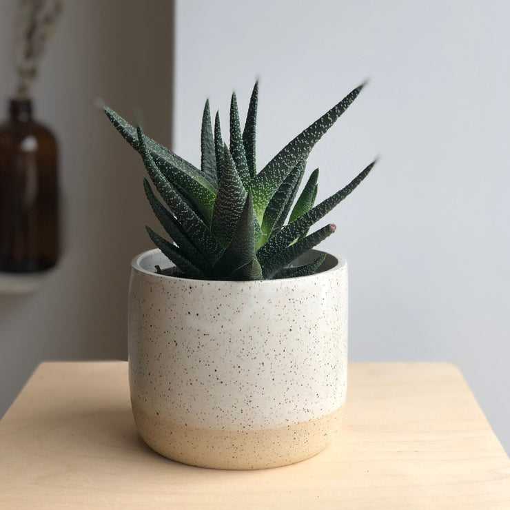 Stoneware planter - Cream