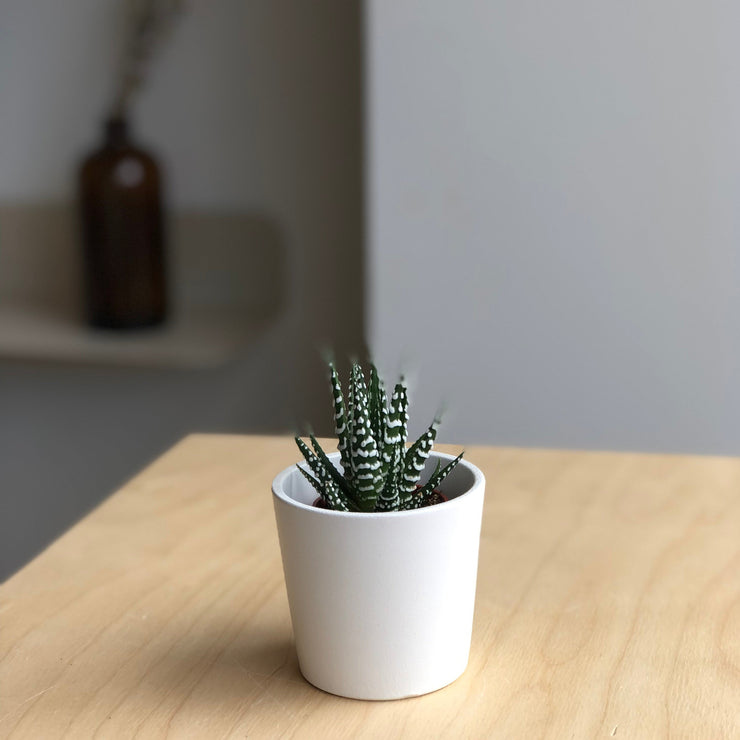 Plant pot - Stockholm - 6 cm
